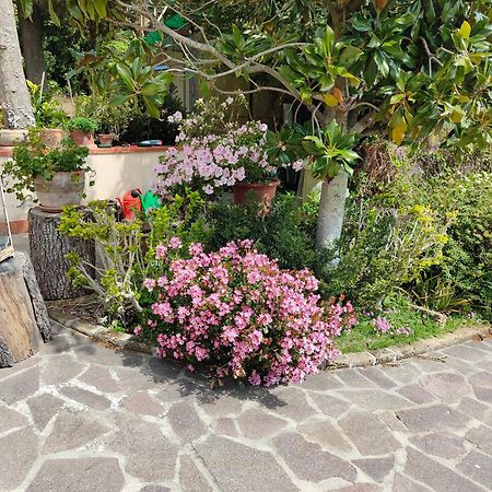 Il Diacciarello Apartment Gabbro Exterior foto