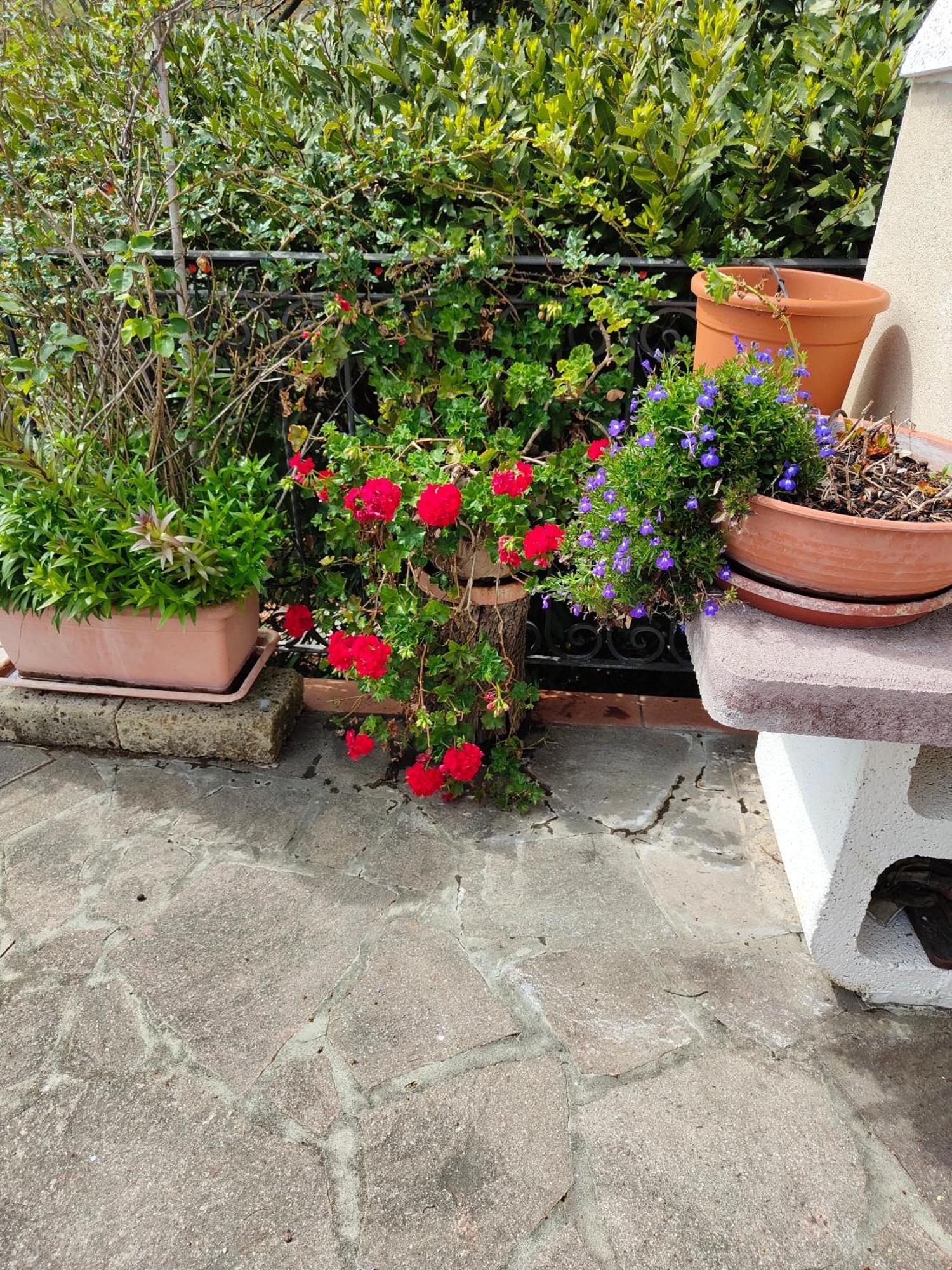 Il Diacciarello Apartment Gabbro Exterior foto